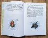 A.A. Milne Chatka Puchatka / The House at Pooh Corner (wersja dwujęzyczna)